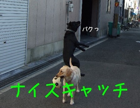 ナイスキャッチ