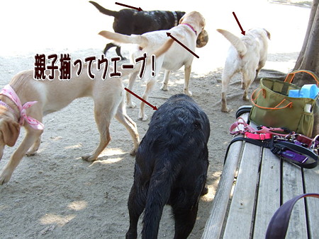 ウエーブ