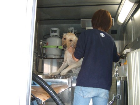 犬の床屋
