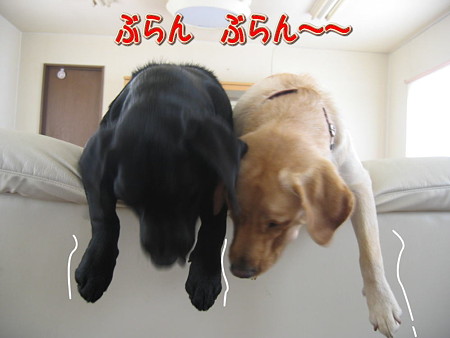 準備運動