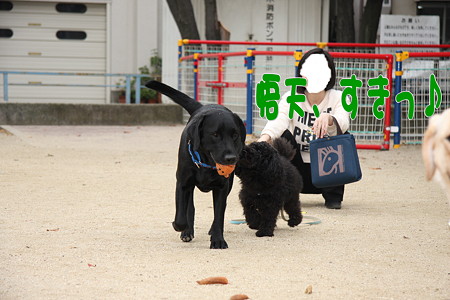 すき