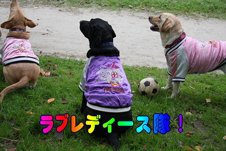 ラブレディース隊