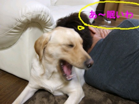 ねむい