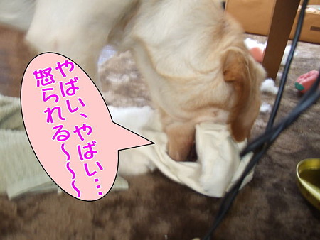 怒られる