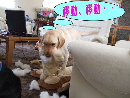 移動