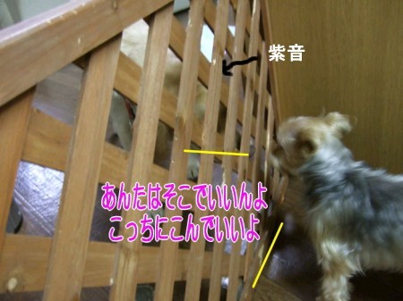 こないでね