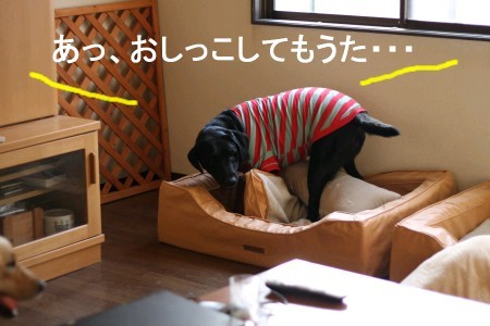 放尿(-_-;)