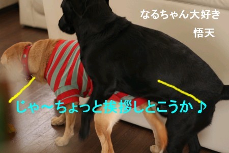久々の濃厚挨拶(^-^;