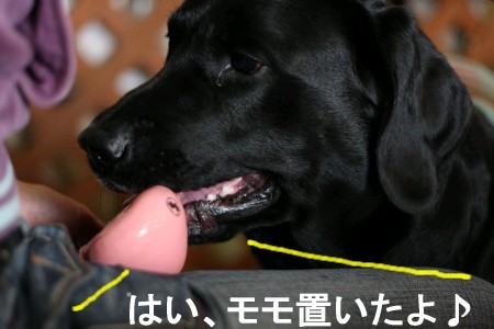 モモちゃん