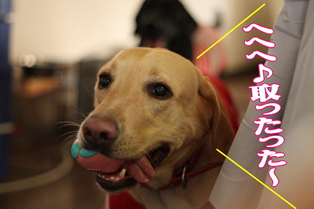 取った!