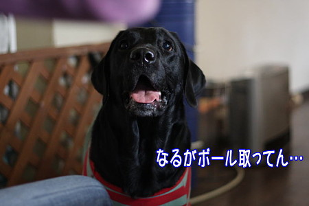 訴える・・・