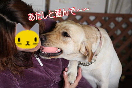 あそんで