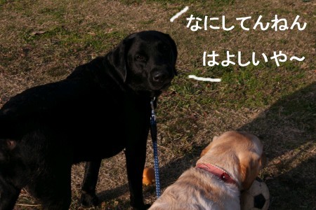 待たれる・・・