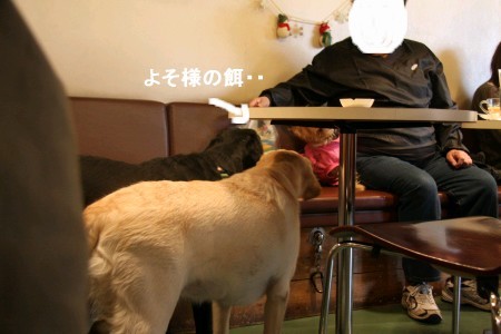 よそ様の餌