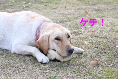 ケチ