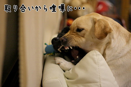 喧嘩