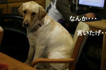 なんか言いたげな様子
