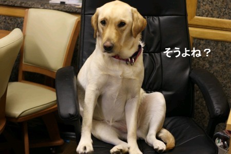 そうよね?