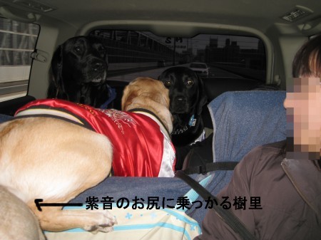 行きの車の中
