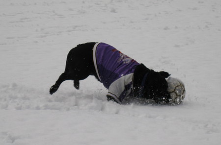 雪の中のサッカー