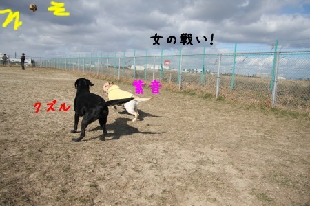 女の戦い