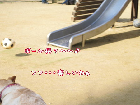 公園8