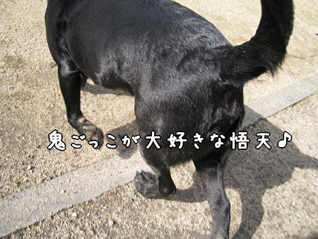 公園11