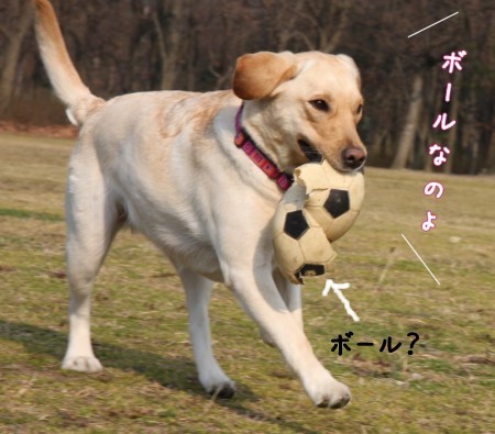ボールなのよ