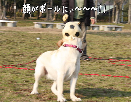 顔がボールに