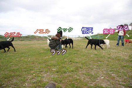集合