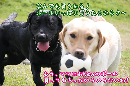 いらない