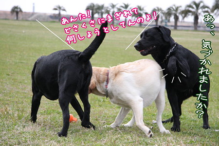 どさくさ
