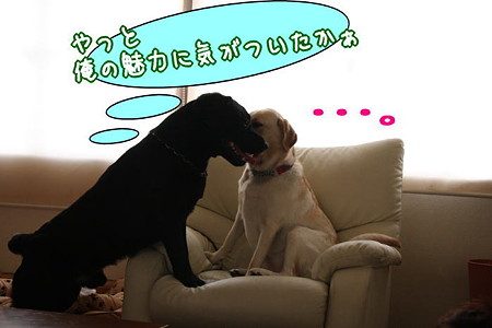 魅力