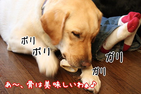 恋より食い気