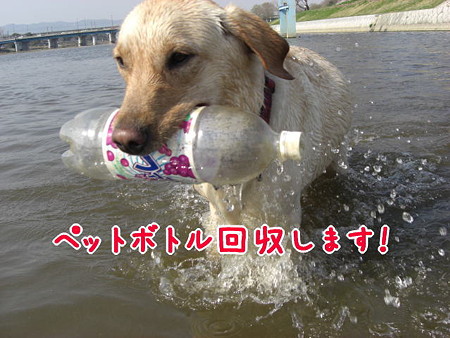 掃除のおばちゃん