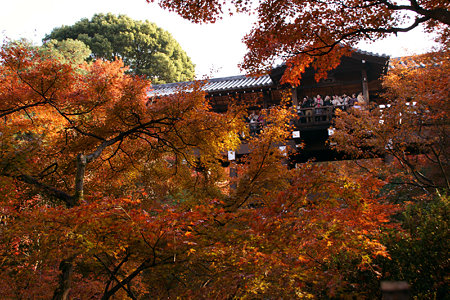 通天橋からの紅葉狩り1129w