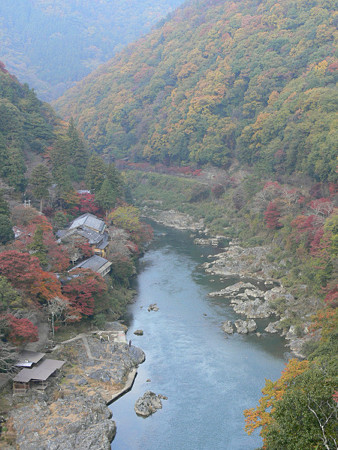 嵐山見晴台1126te