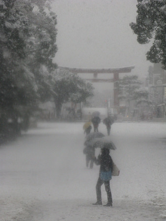 雪舞う三ノ鳥居0203ta