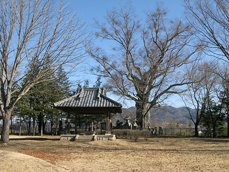 大井城 - 2