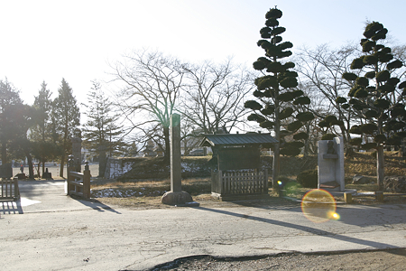 龍岡城五稜郭 - 03