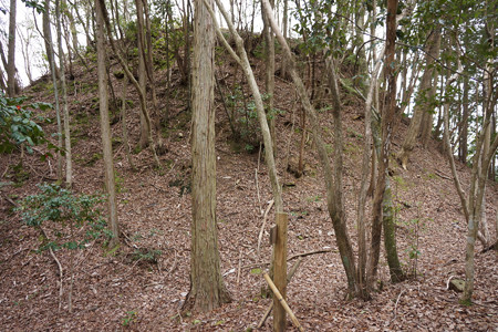 淀山城 - 13