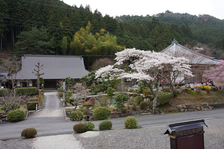 高蔵寺 - 10