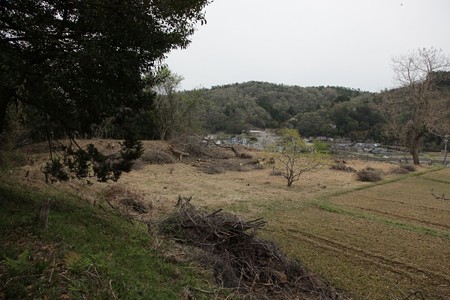 福原城（佐用城） - 04