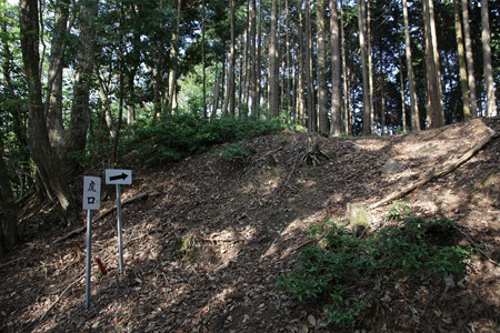 山家城〔甲ヶ峯城・左衛門屋敷〕 - 06
