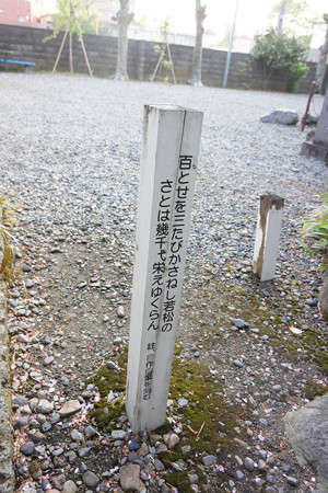 興徳寺 - 07