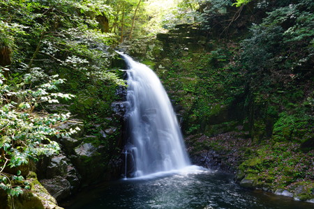 赤目四十八滝(不動滝)