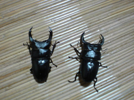 20080506094707