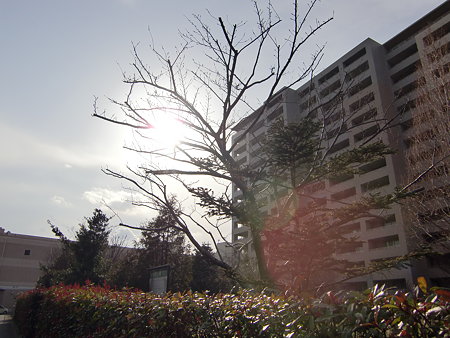 CIMG0458