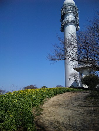 DVC00138
