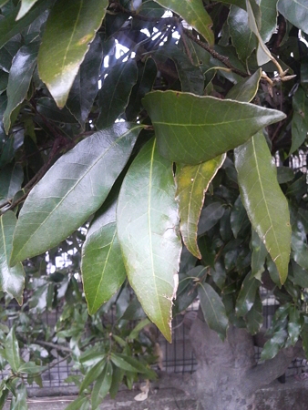 P1090003
